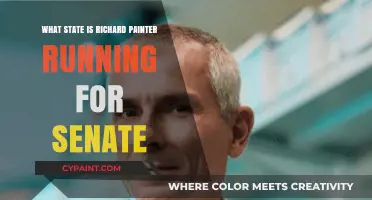 Richard Painter's Senate Bid: Which State is He Running For?