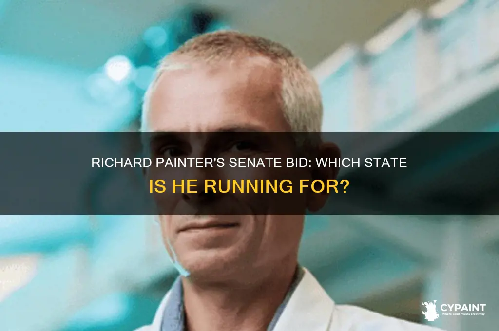 what state is richard painter running for senate