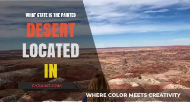 Discovering the Painted Desert: Which U.S. State Claims This Natural Wonder?
