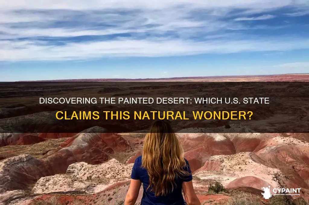 what state is the painted desert located in