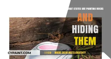 Rock Painting Craze: Which States Are Hiding Colorful Treasures?