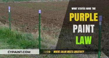 Purple Paint Law: States Where Markings Mean No Trespassing