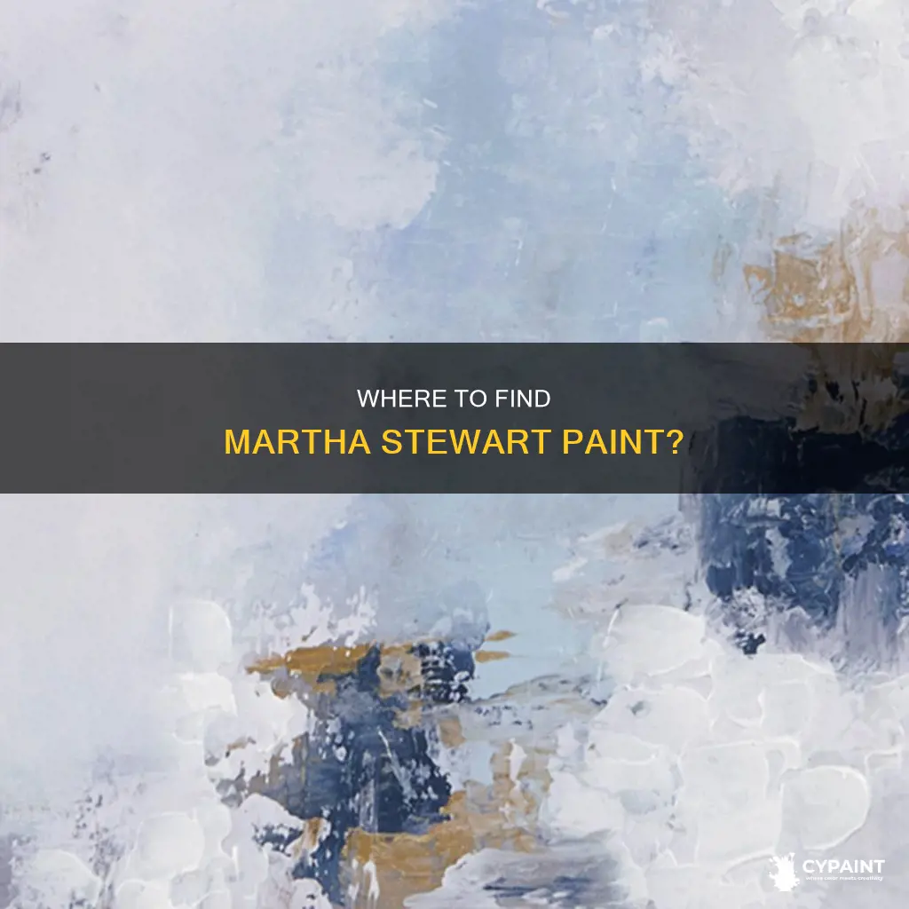 what store has the contract for martha stewart paint