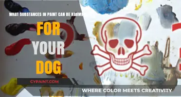 Hidden Dangers: Toxic Substances in Paint That Harm Dogs