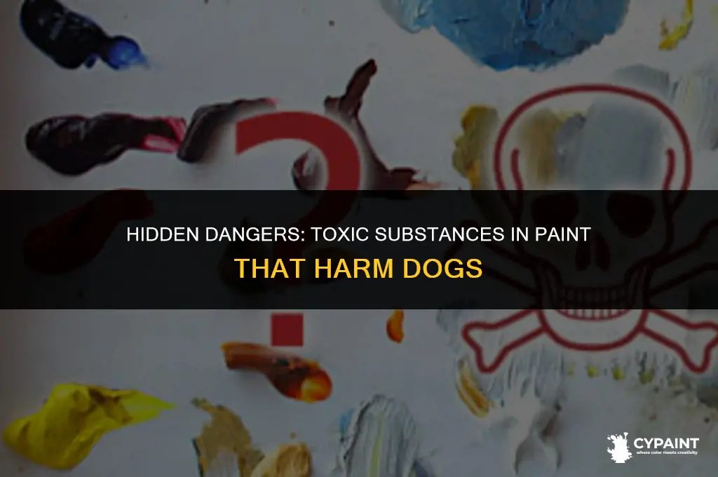 what substances in paint can be harmful for your dog