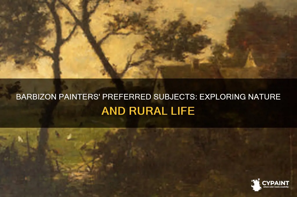 what sunjects did barbuson painters perfer to paint