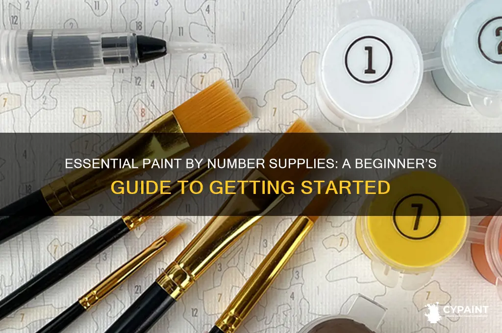 what supplies do youneed for paint by number