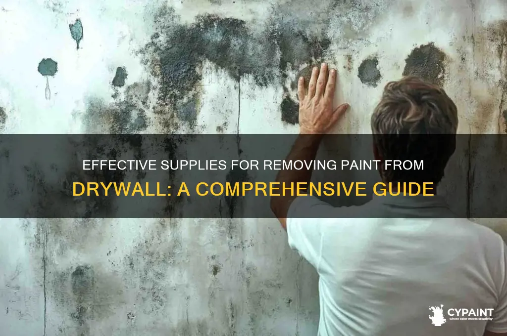 what supplies to scrape off paint on drywall