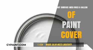 Paint Coverage: How Much Surface Area Does a Gallon Cover?