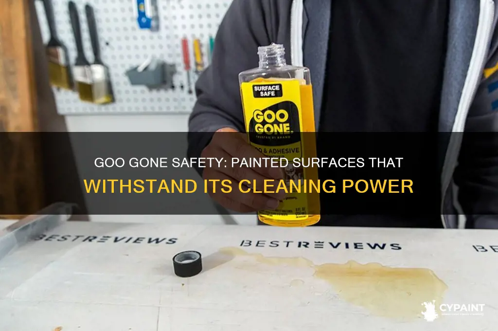 what surfaces is goo gone safe on painted