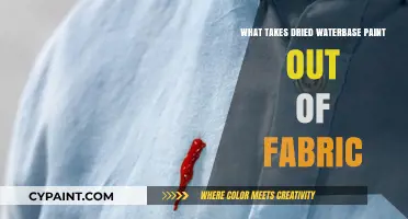Effective Methods to Remove Dried Water-Based Paint from Fabric