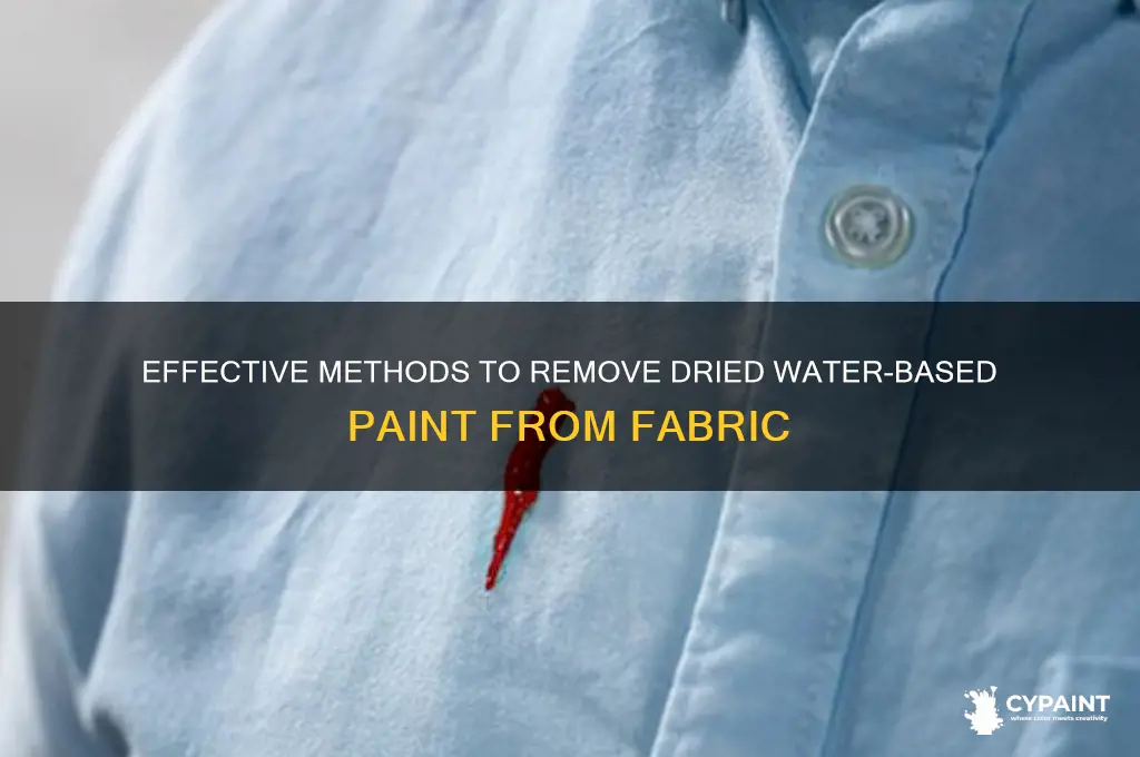 what takes dried waterbase paint out of fabric