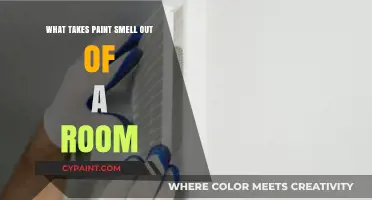 Effective Ways to Eliminate Paint Smell from Your Room Fast