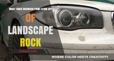 How to Remove Paint Stains from Landscape Rocks