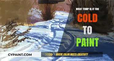 Painting in Cold Weather: When Is It Too Chilly to Paint?