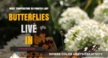 Ideal Temperature Range for Painted Lady Butterflies' Survival and Habitat