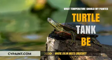 Ideal Painted Turtle Tank Temperature: A Guide for Healthy Habitat