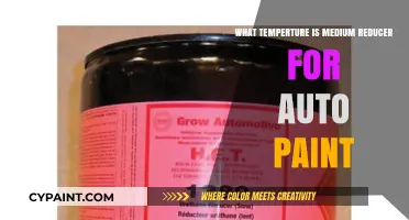 Optimal Medium Reducer Temperature for Auto Paint Application Guide