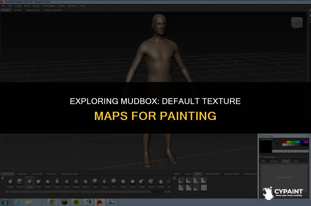 what texture maps can be painted inside mudbox by default