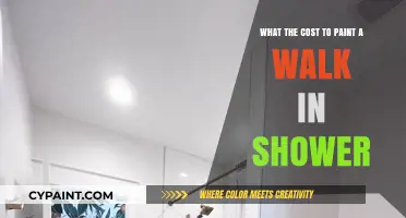 Painting a Walk-In Shower: What's the Cost?