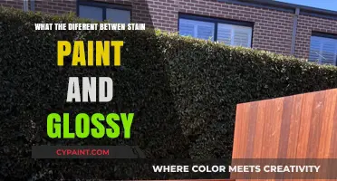 Stain vs. Glossy Paint: Key Differences and Best Uses Explained