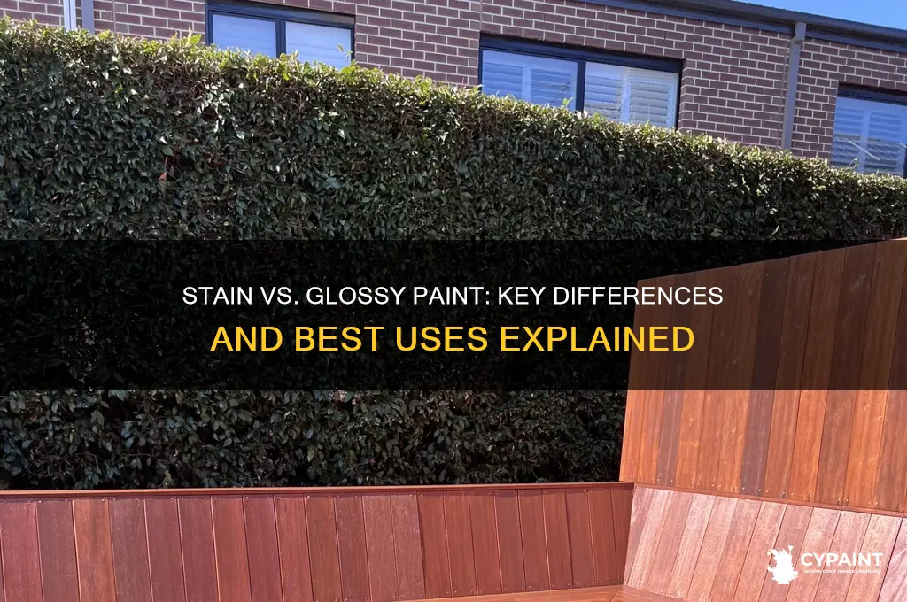 what the diferent betwen stain paint and glossy