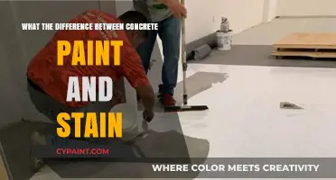 Concrete Paint vs. Stain: Key Differences and Best Uses Explained