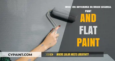 Eggshell vs. Flat Paint: What's the Finish Difference?