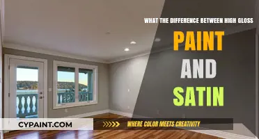 Gloss vs Satin: Choosing the Right Paint Finish