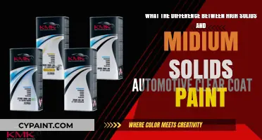 Exploring Paint Types: High Solids vs. Medium Solids