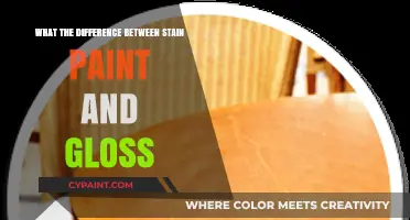 Stain vs. Paint vs. Gloss: Understanding the Key Differences