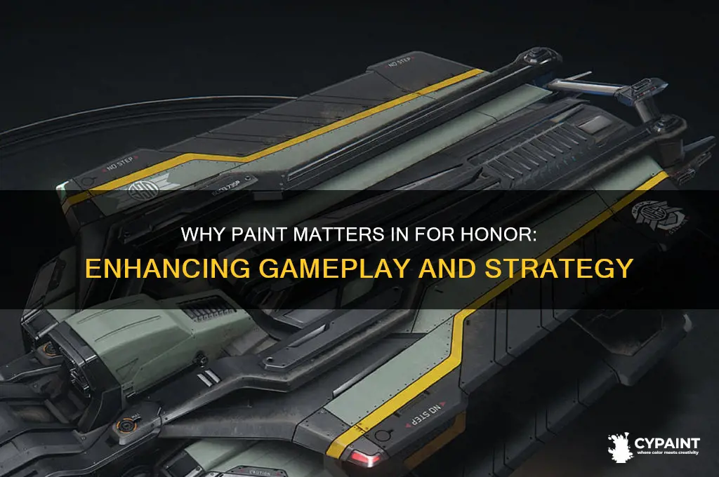 what the point of paint in for honor
