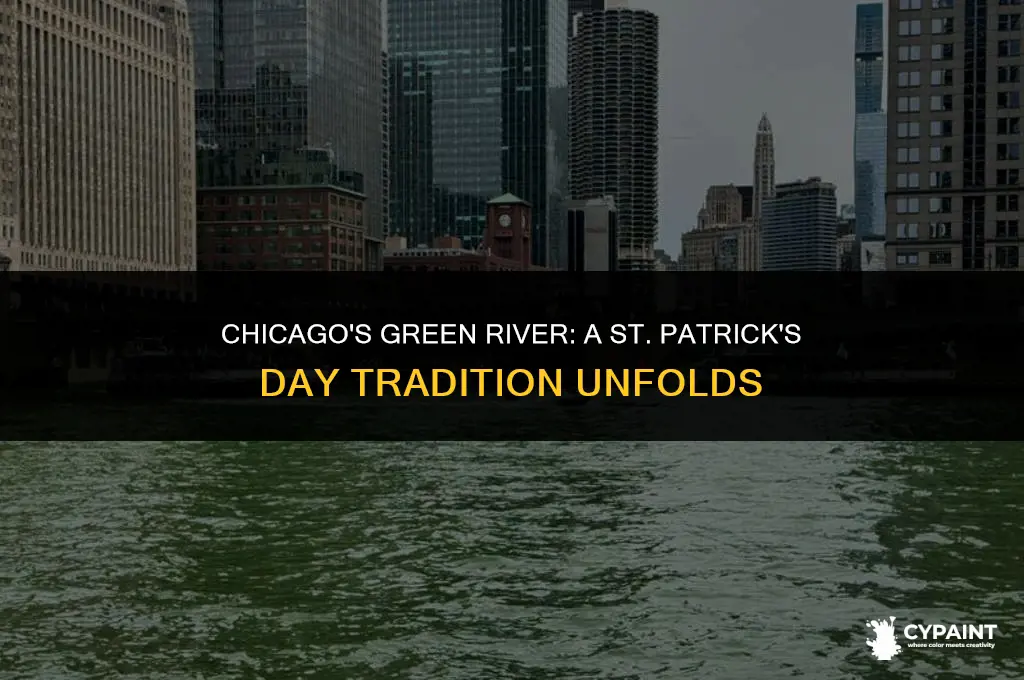 what time are they painting the river green in chicago