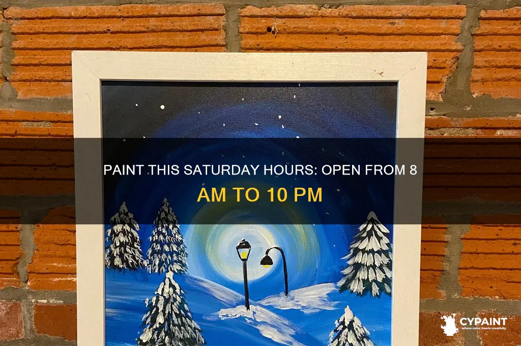 what time is paint this open on saturday