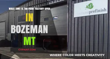 Bozeman Paint Factory Hours: When Creativity Meets Convenience