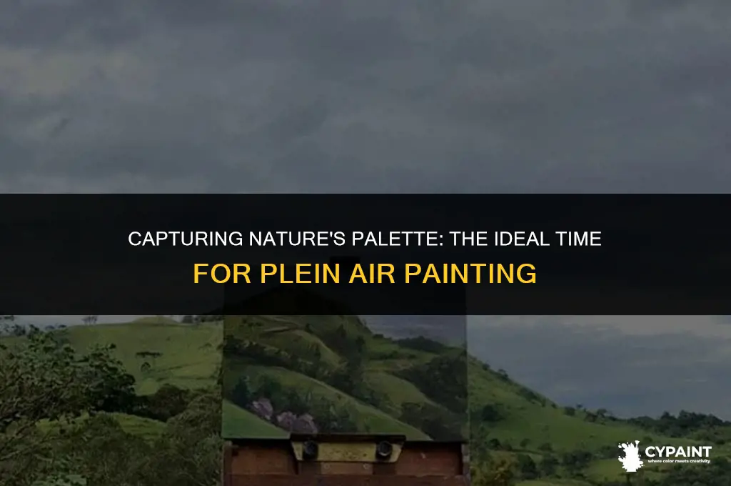 what time of the day is better to paint pleineir