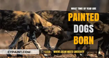 When Do Painted Dogs Give Birth? Seasonal Pups Explained