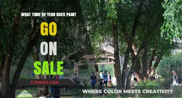 Best Time to Buy Paint: Seasonal Sales Guide