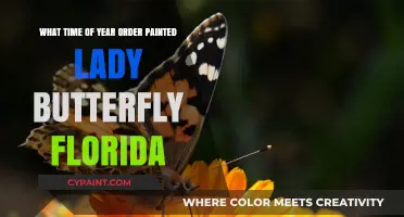 Best Time to Order Painted Lady Butterflies in Florida