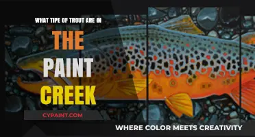Trout Fishing at Paint Creek: What Species to Expect