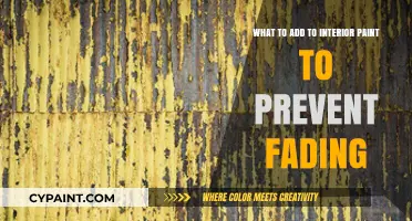 Protect Your Paint: Additives Prevent Fading and Discoloration