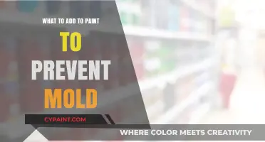 Prevent Mold Growth: Essential Additives for Paint Protection