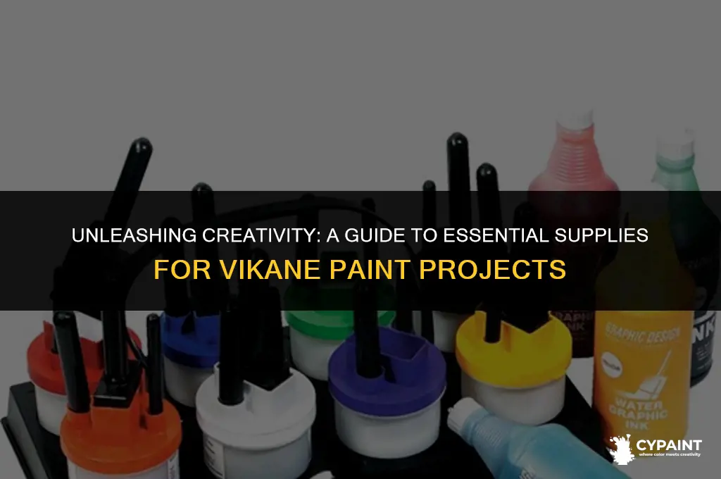 what to bag for vikane-paint cans open