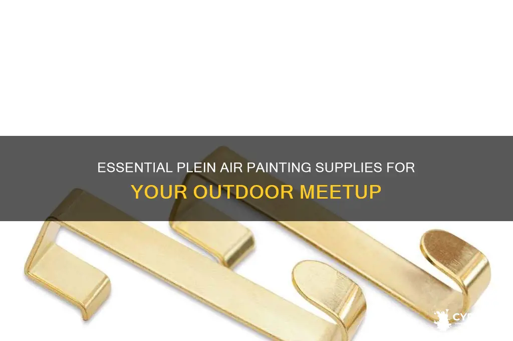 what to bring for plein air painting meetup