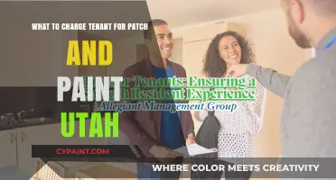 Patch and Paint: What's the Cost for Utah Tenants?