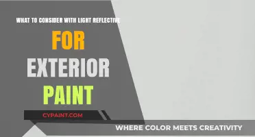 Reflective Exterior Paint: What to Consider