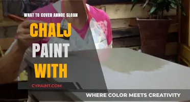 Protecting Annie Sloan Chalk Paint: Top Coat Options Explained
