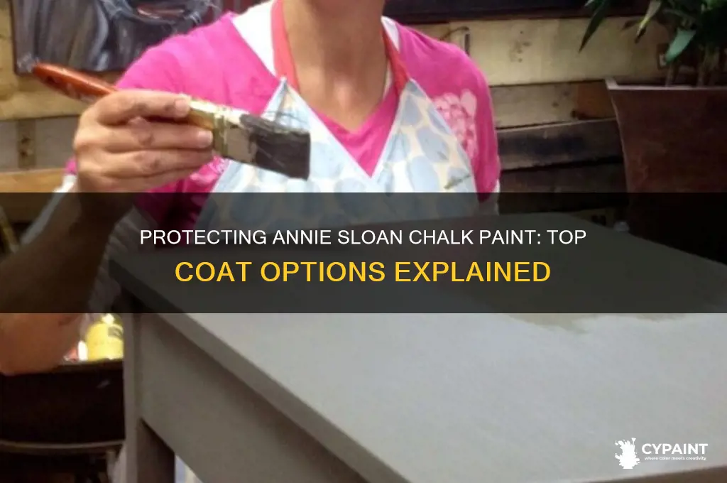 what to cover annoe sloan chalj paint with