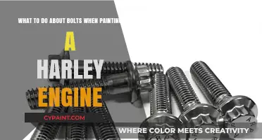 Painting Your Harley Engine: Bolt Removal and Reinstallation Tips