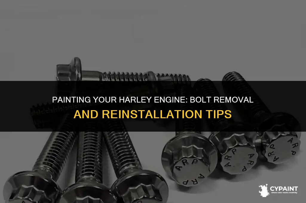 what to do about bolts when painting a harley engine
